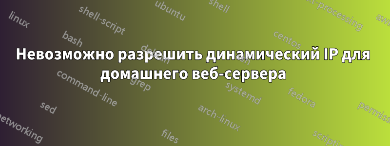 Невозможно разрешить динамический IP для домашнего веб-сервера