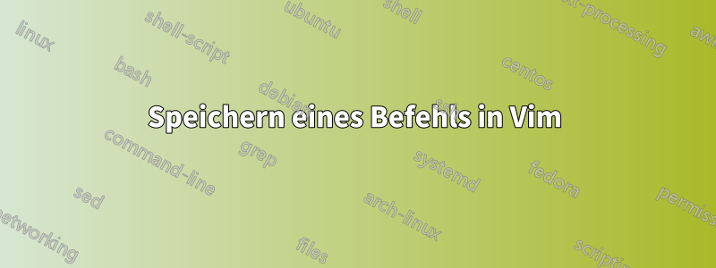 Speichern eines Befehls in Vim