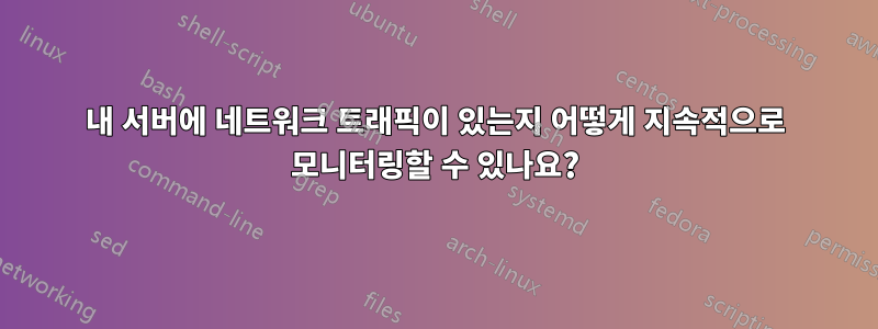 내 서버에 네트워크 트래픽이 있는지 어떻게 지속적으로 모니터링할 수 있나요?