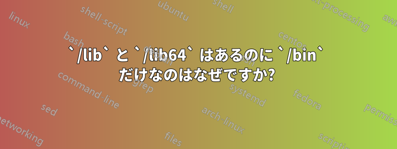 `/lib` と `/lib64` はあるのに `/bin` だけなのはなぜですか?