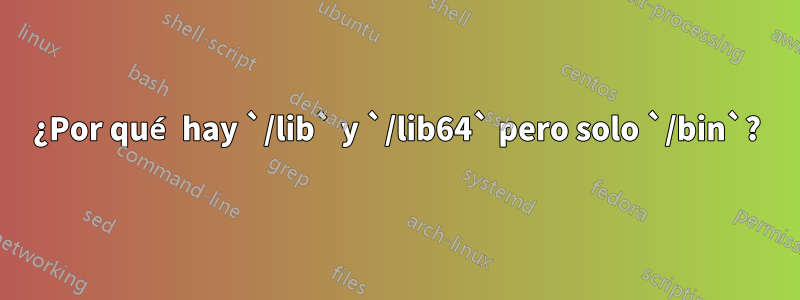 ¿Por qué hay `/lib` y `/lib64` pero solo `/bin`?