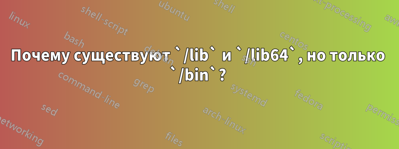 Почему существуют `/lib` и `/lib64`, но только `/bin`?