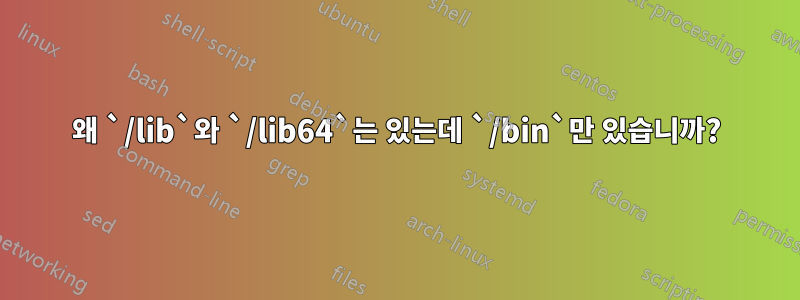 왜 `/lib`와 `/lib64`는 있는데 `/bin`만 있습니까?