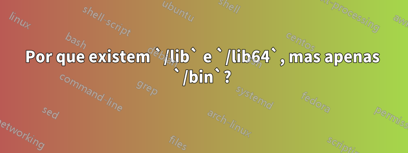 Por que existem `/lib` e `/lib64`, mas apenas `/bin`?