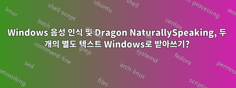 Windows 음성 인식 및 Dragon NaturallySpeaking, 두 개의 별도 텍스트 Windows로 받아쓰기?