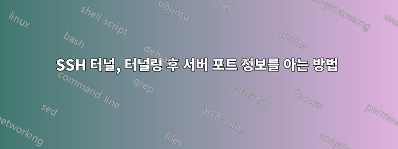 SSH 터널, 터널링 후 서버 포트 정보를 아는 방법