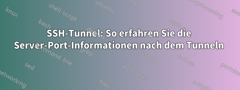 SSH-Tunnel: So erfahren Sie die Server-Port-Informationen nach dem Tunneln