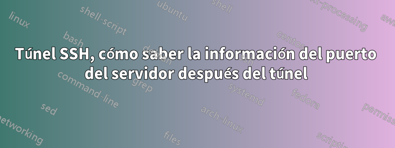 Túnel SSH, cómo saber la información del puerto del servidor después del túnel