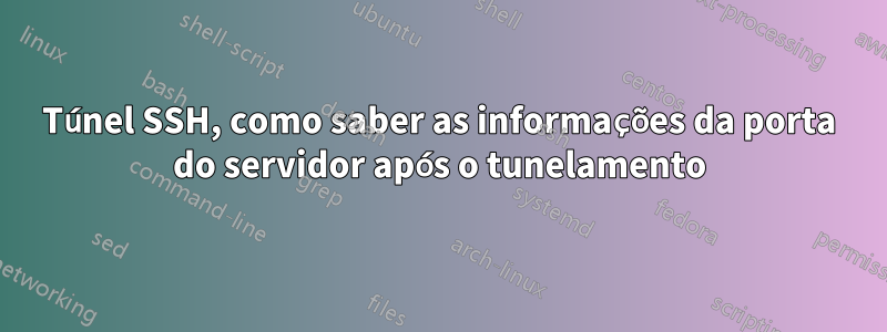 Túnel SSH, como saber as informações da porta do servidor após o tunelamento