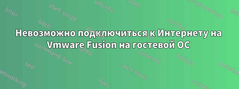 Невозможно подключиться к Интернету на Vmware Fusion на гостевой ОС