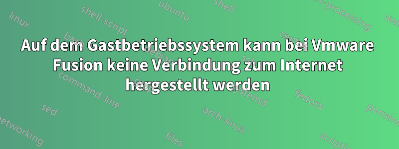 Auf dem Gastbetriebssystem kann bei Vmware Fusion keine Verbindung zum Internet hergestellt werden