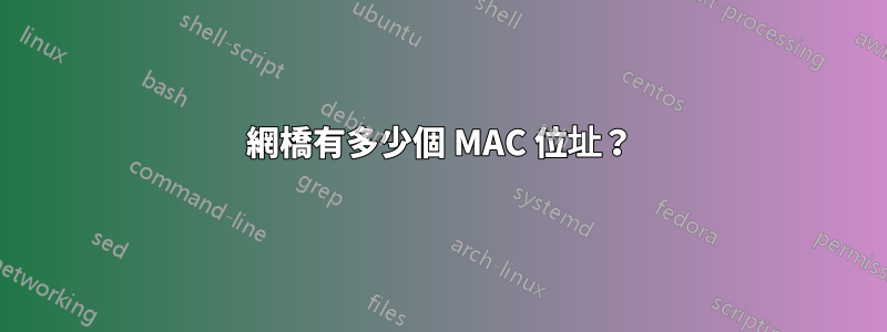 網橋有多少個 MAC 位址？