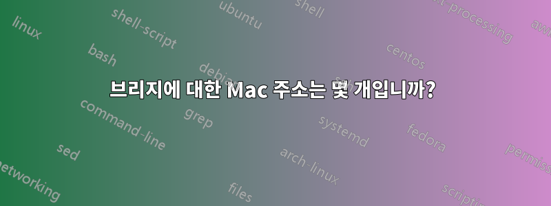 브리지에 대한 Mac 주소는 몇 개입니까?