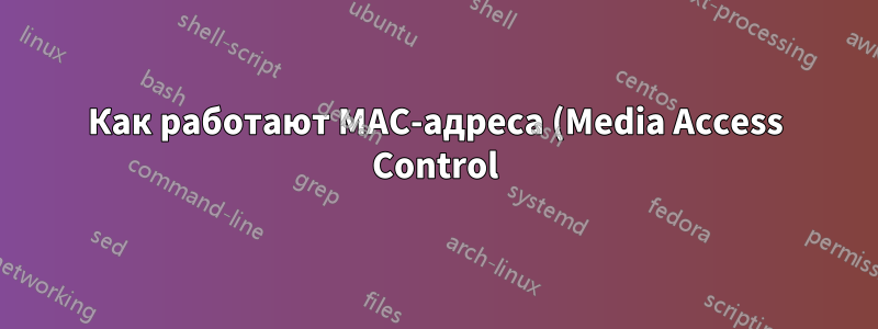 Как работают MAC-адреса (Media Access Control)?