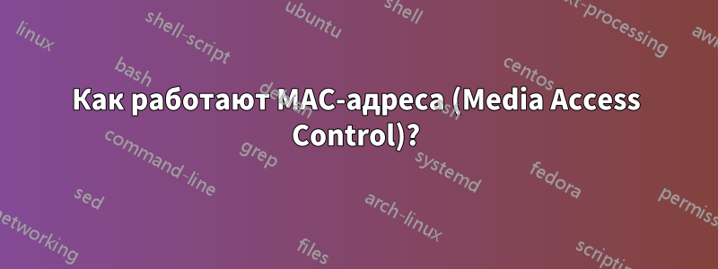 Как работают MAC-адреса (Media Access Control)?