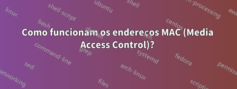 Como funcionam os endereços MAC (Media Access Control)?