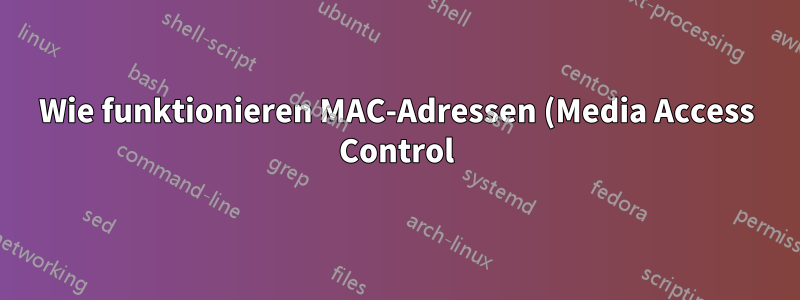 Wie funktionieren MAC-Adressen (Media Access Control)?