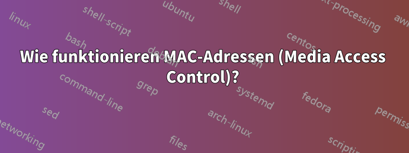 Wie funktionieren MAC-Adressen (Media Access Control)?