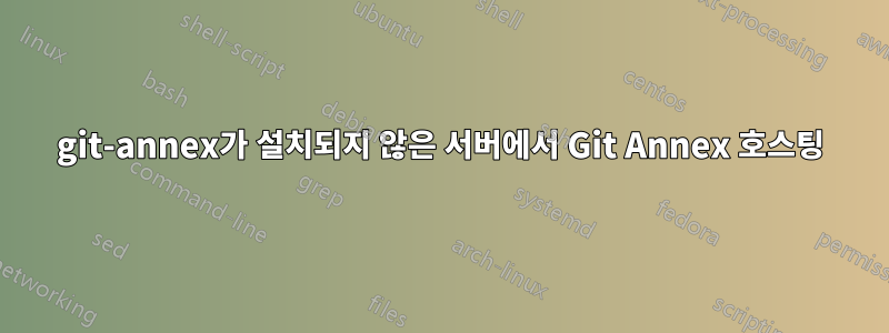 git-annex가 설치되지 않은 서버에서 Git Annex 호스팅