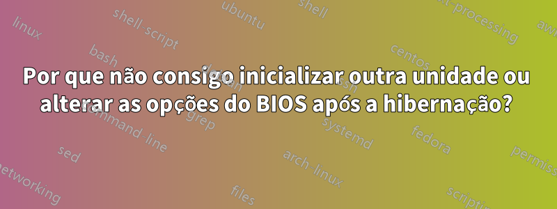 Por que não consigo inicializar outra unidade ou alterar as opções do BIOS após a hibernação?