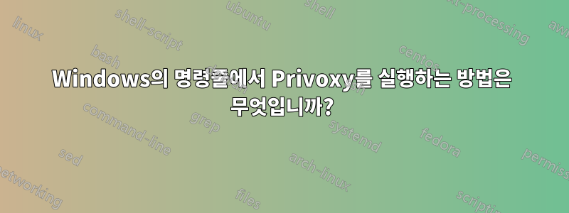 Windows의 명령줄에서 Privoxy를 실행하는 방법은 무엇입니까?