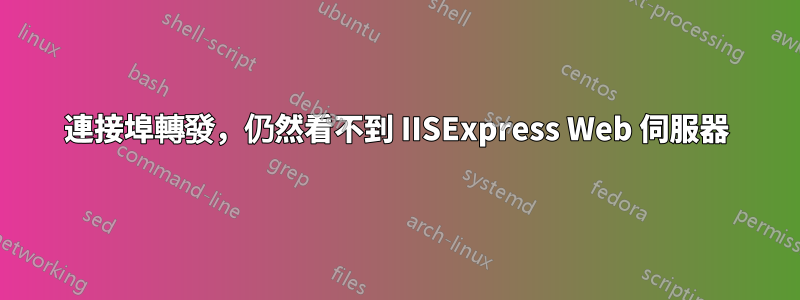 連接埠轉發，仍然看不到 IISExpress Web 伺服器