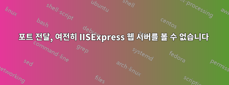 포트 전달, 여전히 IISExpress 웹 서버를 볼 수 없습니다