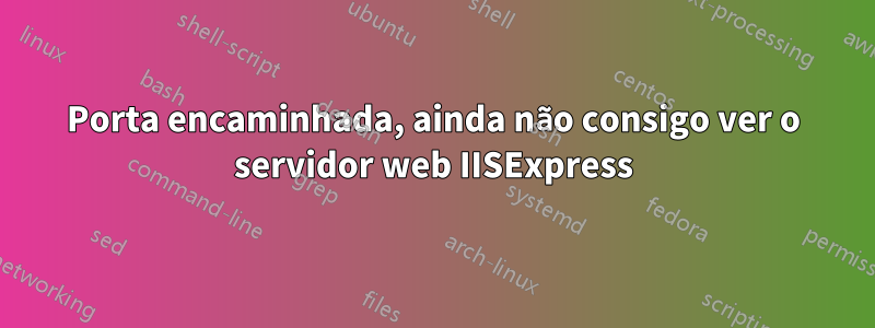 Porta encaminhada, ainda não consigo ver o servidor web IISExpress