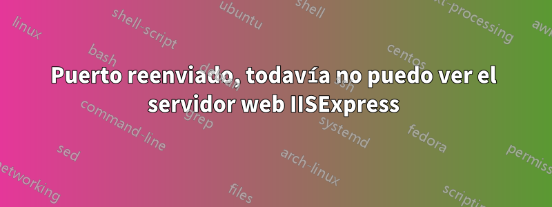 Puerto reenviado, todavía no puedo ver el servidor web IISExpress