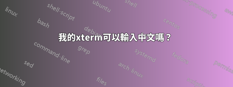 我的xterm可以輸入中文嗎？