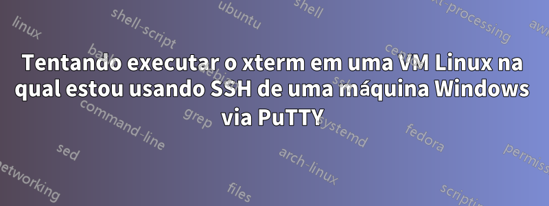 Tentando executar o xterm em uma VM Linux na qual estou usando SSH de uma máquina Windows via PuTTY