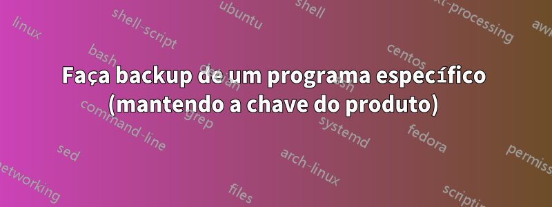 Faça backup de um programa específico (mantendo a chave do produto)