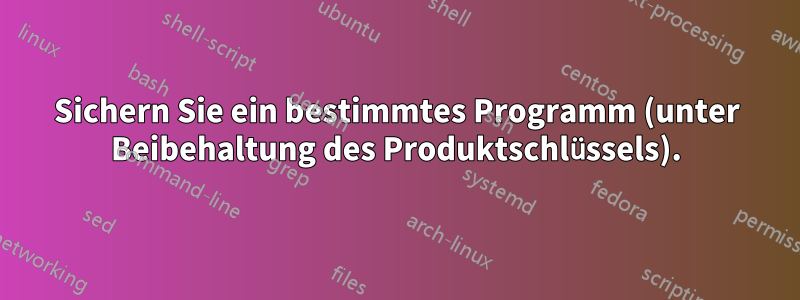 Sichern Sie ein bestimmtes Programm (unter Beibehaltung des Produktschlüssels).