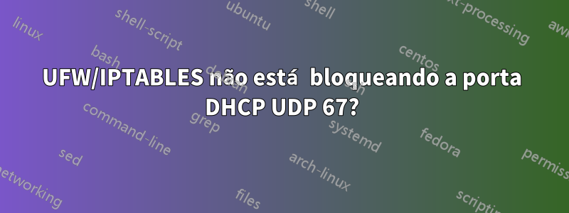 UFW/IPTABLES não está bloqueando a porta DHCP UDP 67?