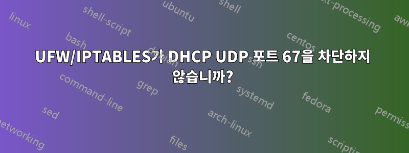 UFW/IPTABLES가 DHCP UDP 포트 67을 차단하지 않습니까?