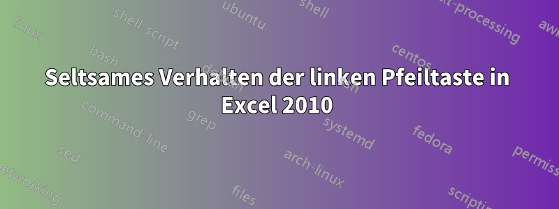 Seltsames Verhalten der linken Pfeiltaste in Excel 2010