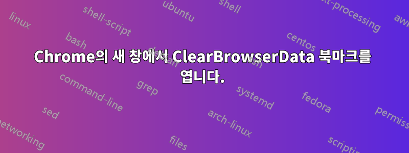 Chrome의 새 창에서 ClearBrowserData 북마크를 엽니다.