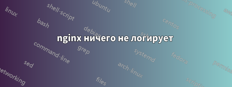 nginx ничего не логирует