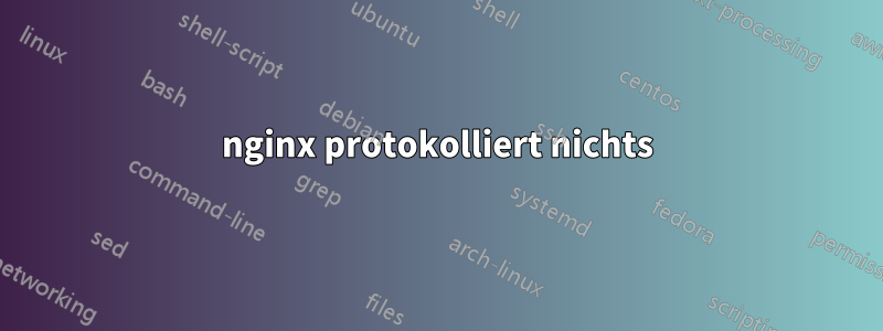 nginx protokolliert nichts