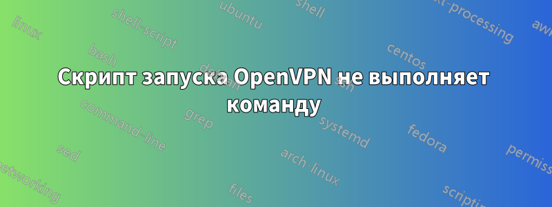 Скрипт запуска OpenVPN не выполняет команду