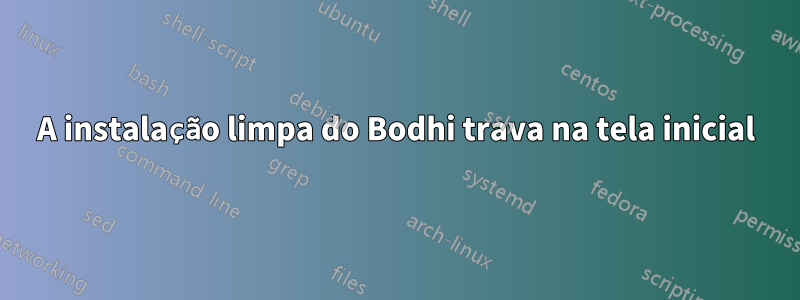 A instalação limpa do Bodhi trava na tela inicial