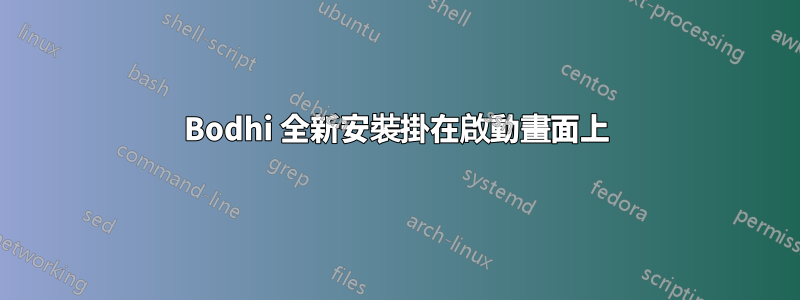 Bodhi 全新安裝掛在啟動畫面上