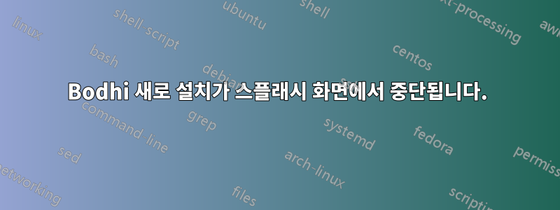 Bodhi 새로 설치가 스플래시 화면에서 중단됩니다.