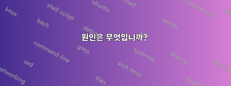 원인은 무엇입니까?