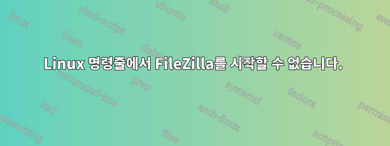 Linux 명령줄에서 FileZilla를 시작할 수 없습니다.