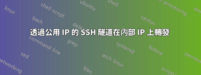 透過公用 IP 的 SSH 隧道在內部 IP 上轉發