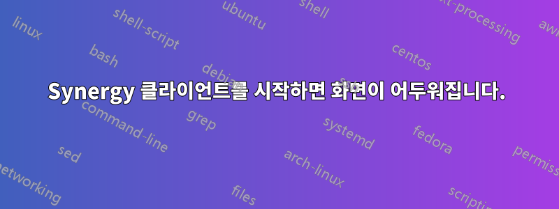 Synergy 클라이언트를 시작하면 화면이 어두워집니다.