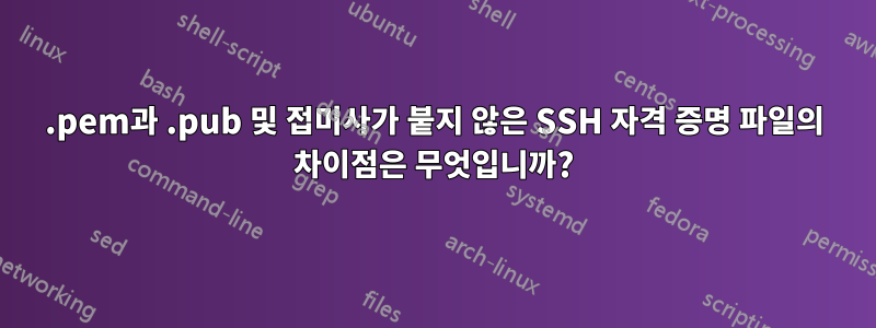 .pem과 .pub 및 접미사가 붙지 않은 SSH 자격 증명 파일의 차이점은 무엇입니까?