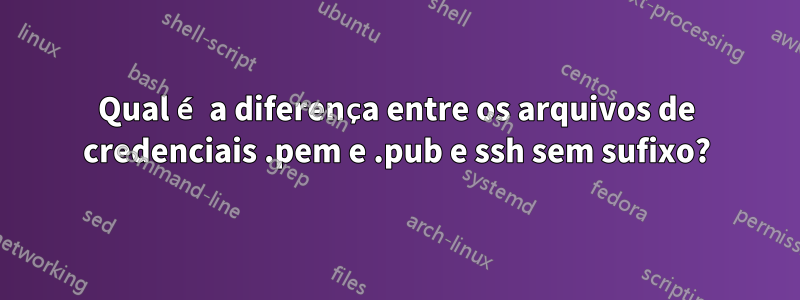 Qual é a diferença entre os arquivos de credenciais .pem e .pub e ssh sem sufixo?