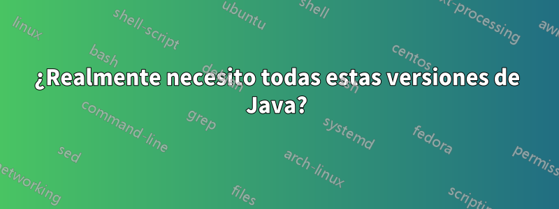 ¿Realmente necesito todas estas versiones de Java?